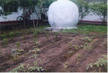 Demonstration RWH tank connected to a drip irrigation system at District Agriculture Training Centre, Ellappiar Maruthankulum, Vavuniya	