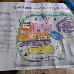 Farmers in Kurunegala Trained on Sustainable Agriculture and Water Management