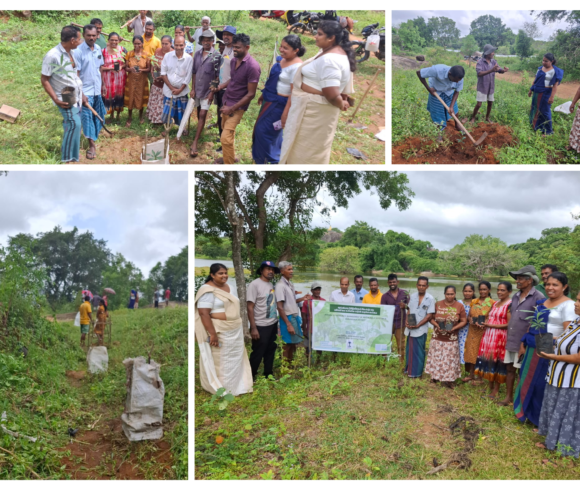 Communities Come Together to Enhance the Halmillawewa Tank Ecosystem