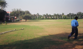 Turf area