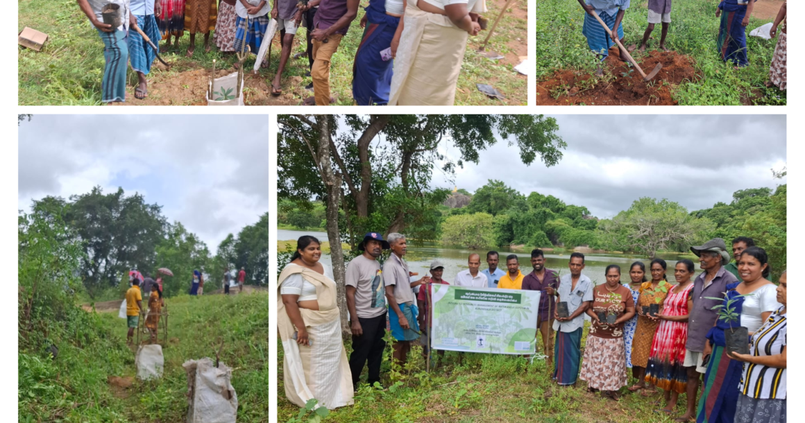 Communities Come Together to Enhance the Halmillawewa Tank Ecosystem Communities Come Together to Enhance the Halmillawewa Tank Ecosystem