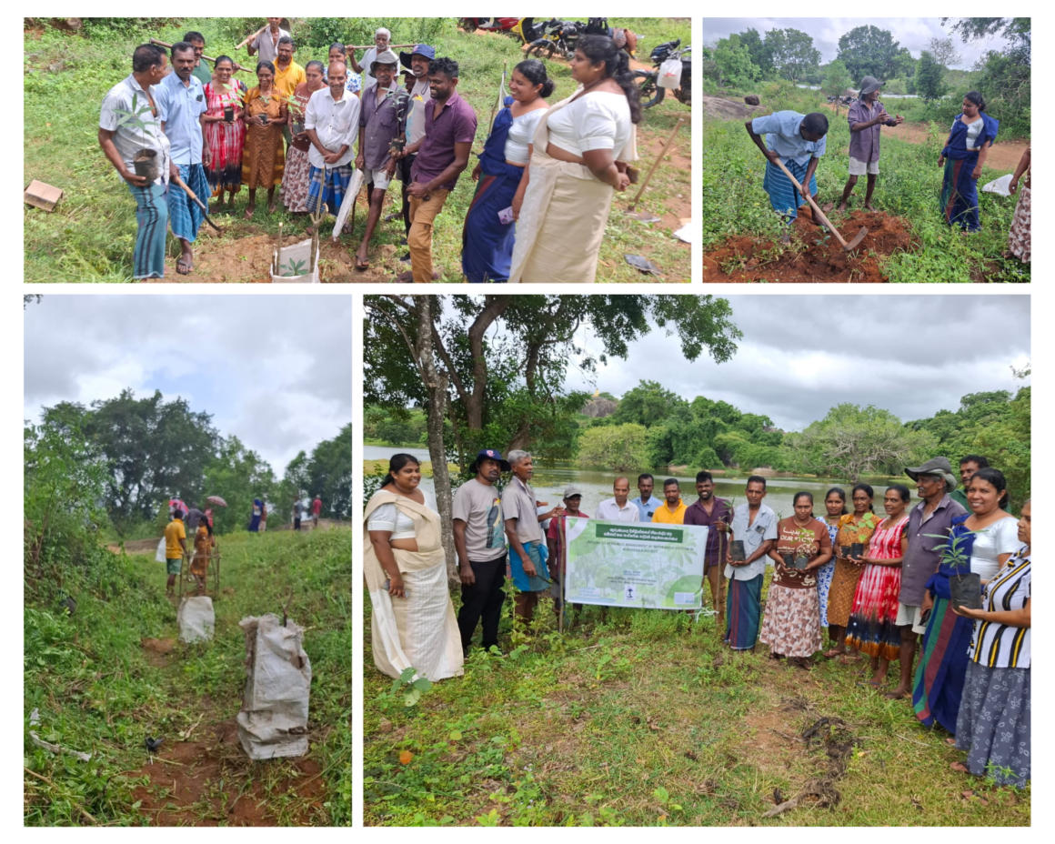 Communities Come Together to Enhance the Halmillawewa Tank Ecosystem Communities Come Together to Enhance the Halmillawewa Tank Ecosystem