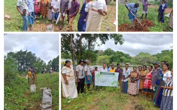 Communities Come Together to Enhance the Halmillawewa Tank Ecosystem